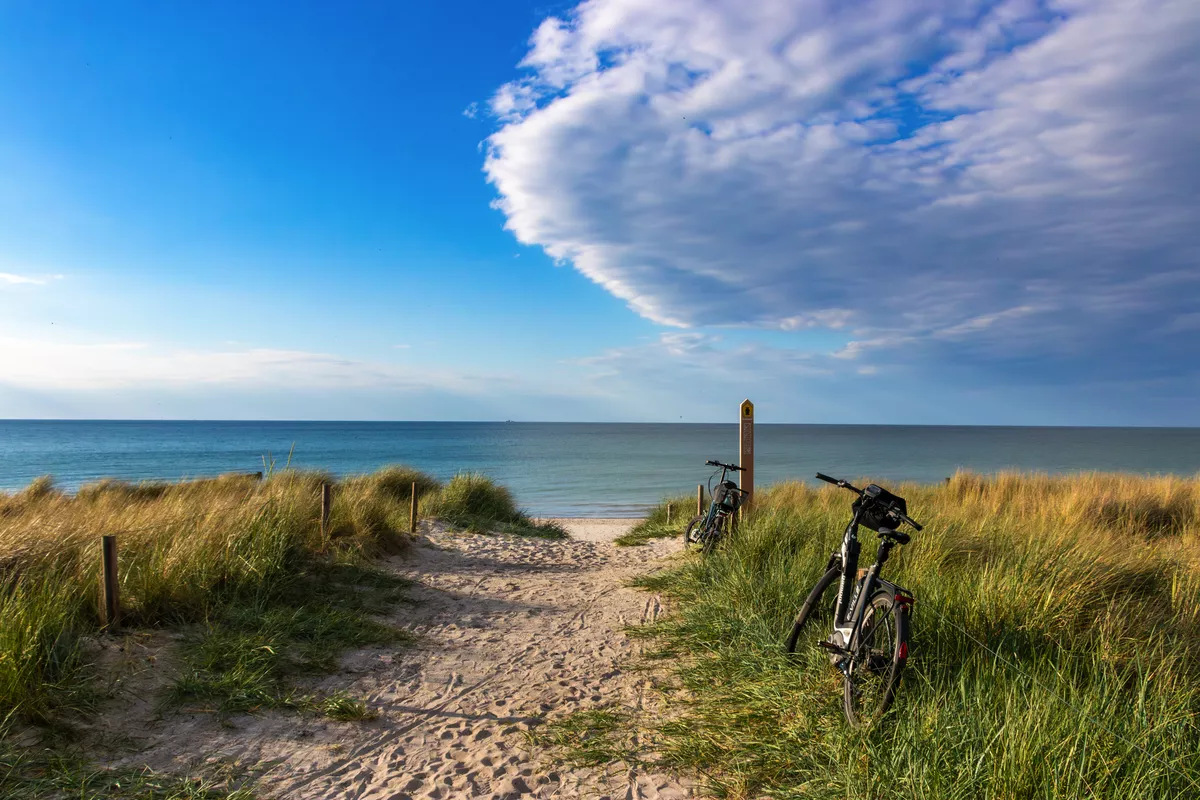 Weg zum Strand an der Ostsee in Zingst - © Karl - stock.adobe.com