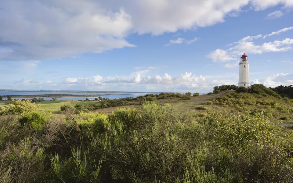 Leuchtturm Dornbusch, Insel Hiddensee