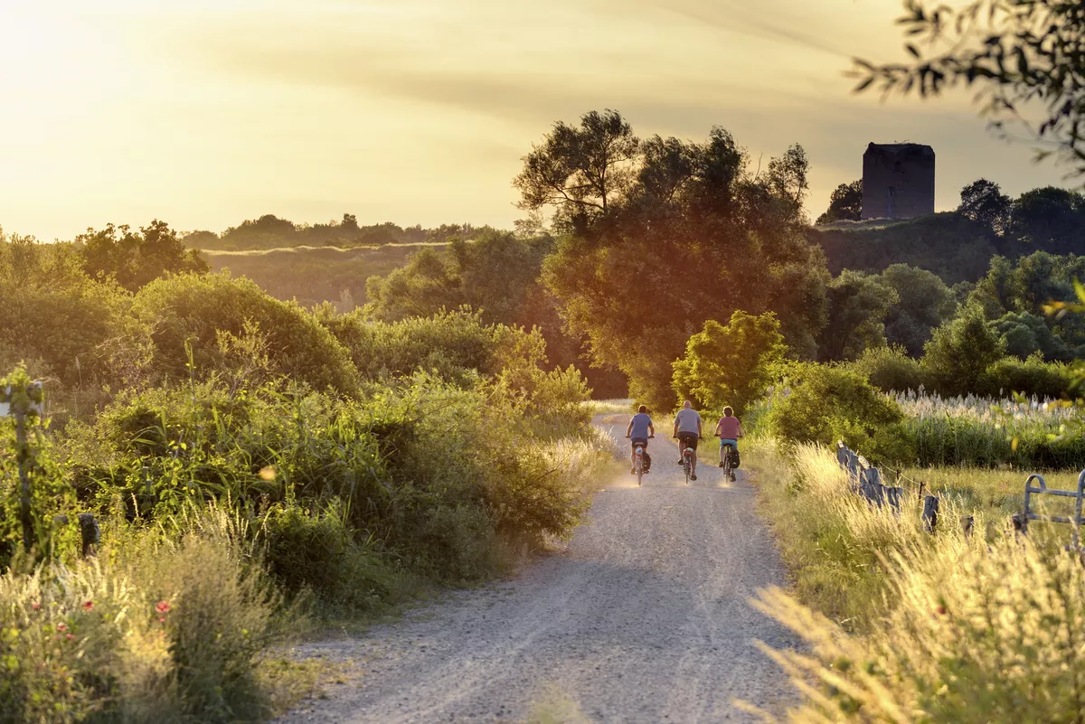 Fahrradtour durch den Nationalpark Unteres Odertal - © Francesco Carovillano