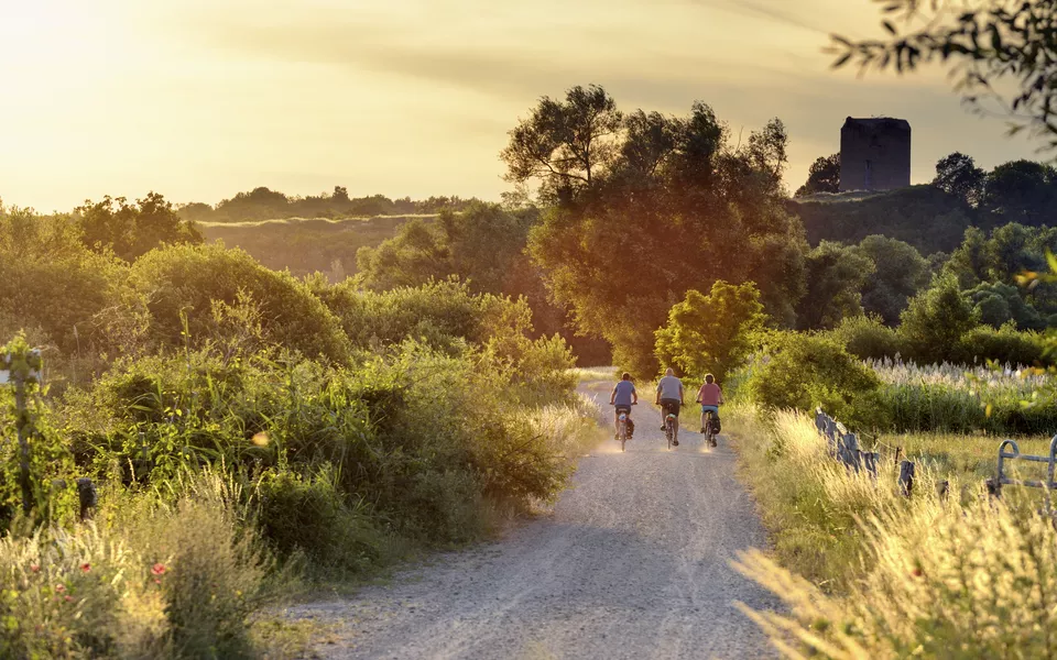 Fahrradtour durch den Nationalpark Unteres Odertal