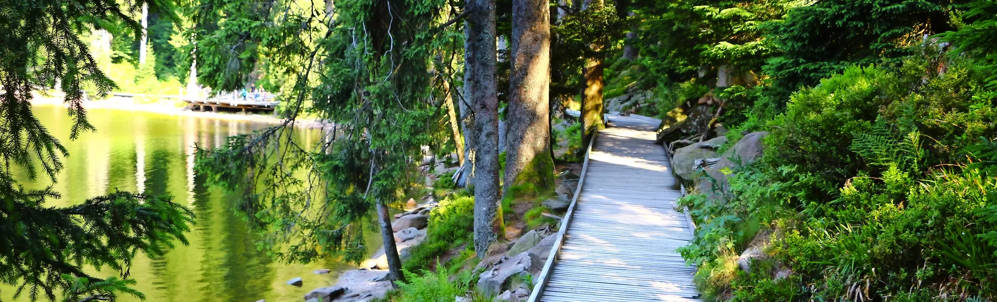 Holzsteg am Mummelsee im Schwarzwald, Deutschland - © Pixel62 - stock.adobe.com