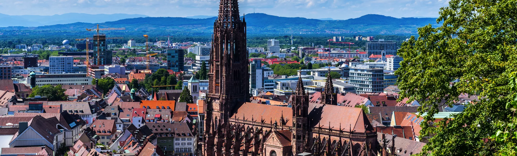 Freiburg im Breisgau von oben - © Simon - stock.adobe.com