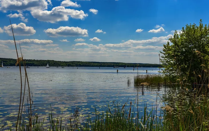 Naturidylle und Freizeitparadies: Der Templiner See bei Potsdam - © ebenart - stock.adobe.com