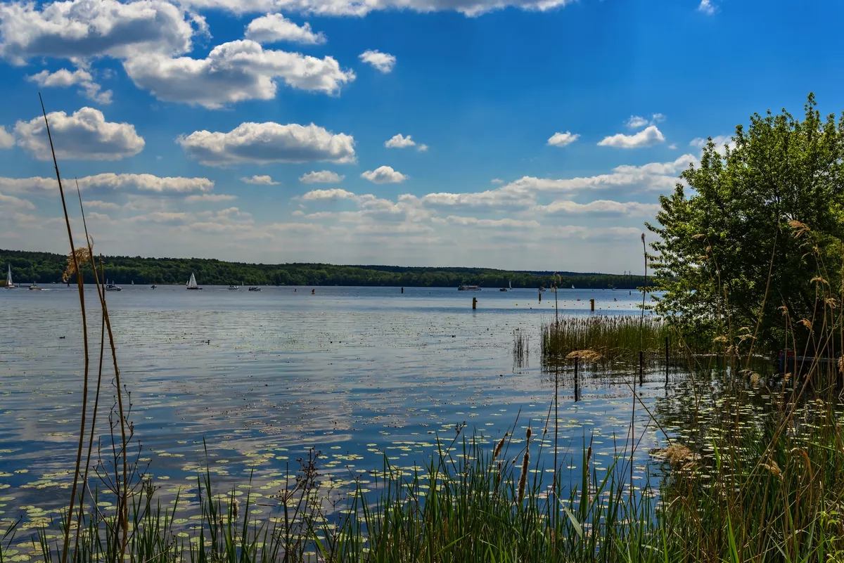 Naturidylle und Freizeitparadies: Der Templiner See bei Potsdam - © ebenart - stock.adobe.com