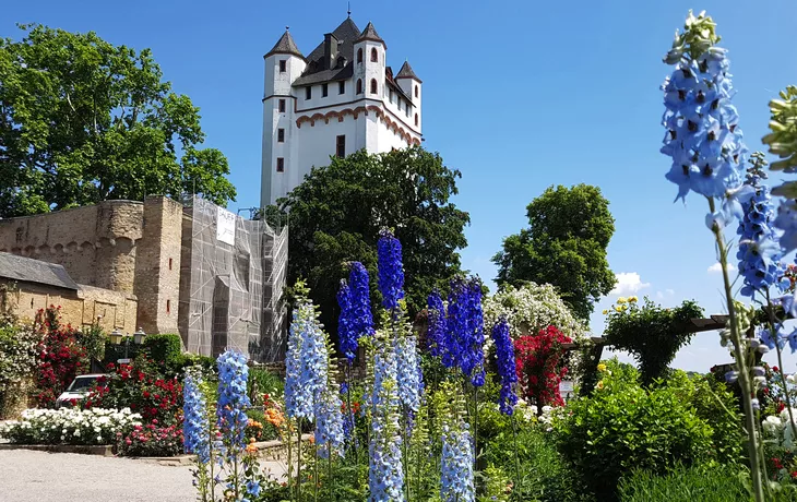 Rheinblicke und Moselzauber