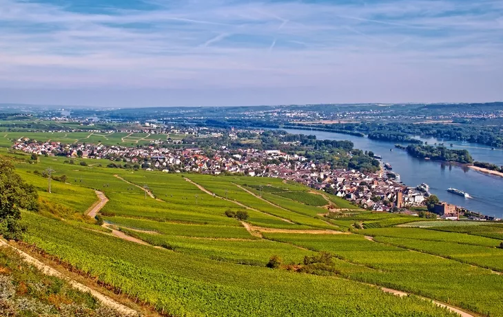 © mojolo - Fotolia - Rüdesheim am Rhein mit Weinbergen
