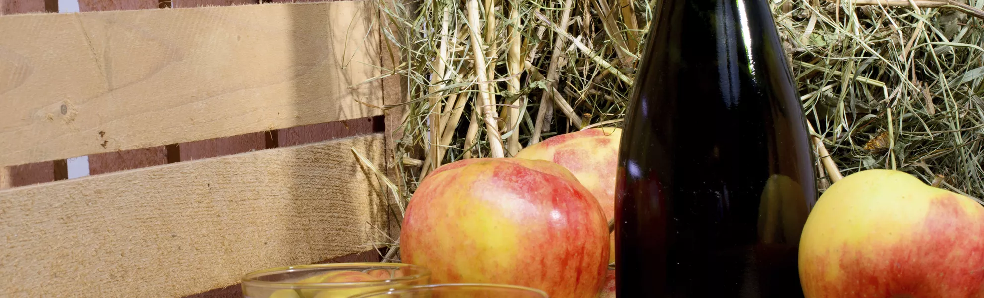 Cidre Verkostung