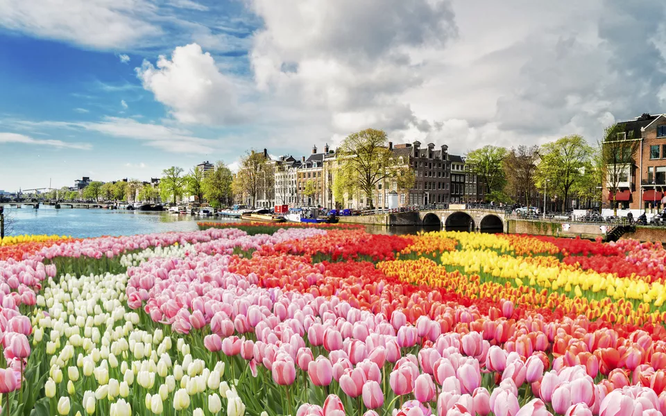 Amderdam - © Getty Images/iStockphoto