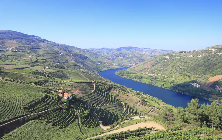 Zwischen Weinbergen und Vulkanen - Douro Spirit