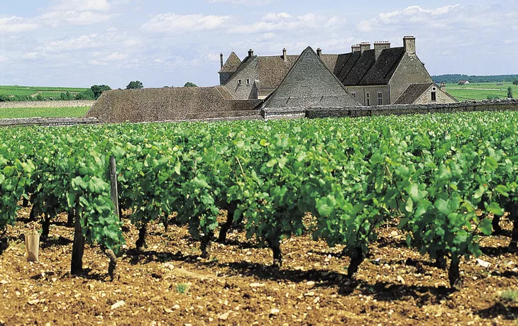 Clos de Vougeot