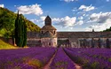 © Dar1930 - stock.adobe.com