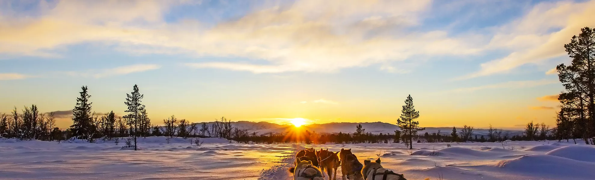 Hundeschlittentour - © kjekol - Fotolia