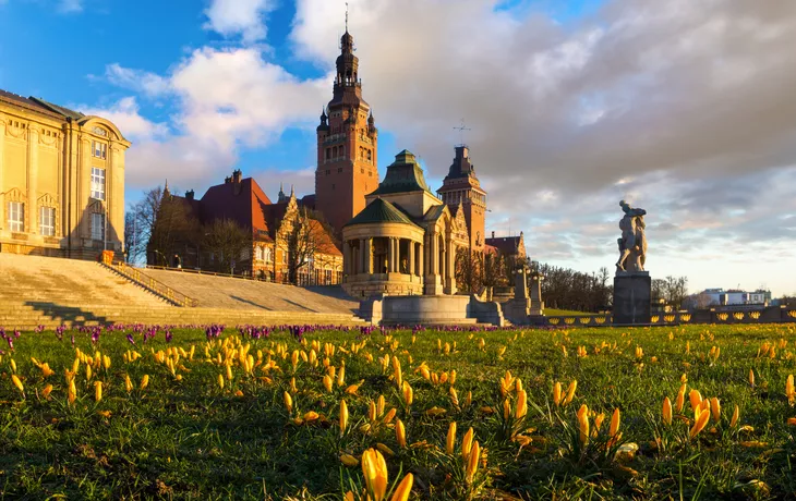 © Mike Mareen - stock.adobe.com - Floraisons de crocus aux Hakenterrasse à Stettin