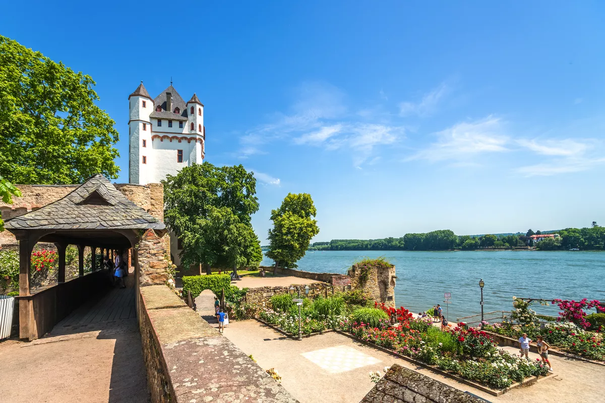 Burg Eltville am Rhein - © Sina Ettmer - stock.adobe.com