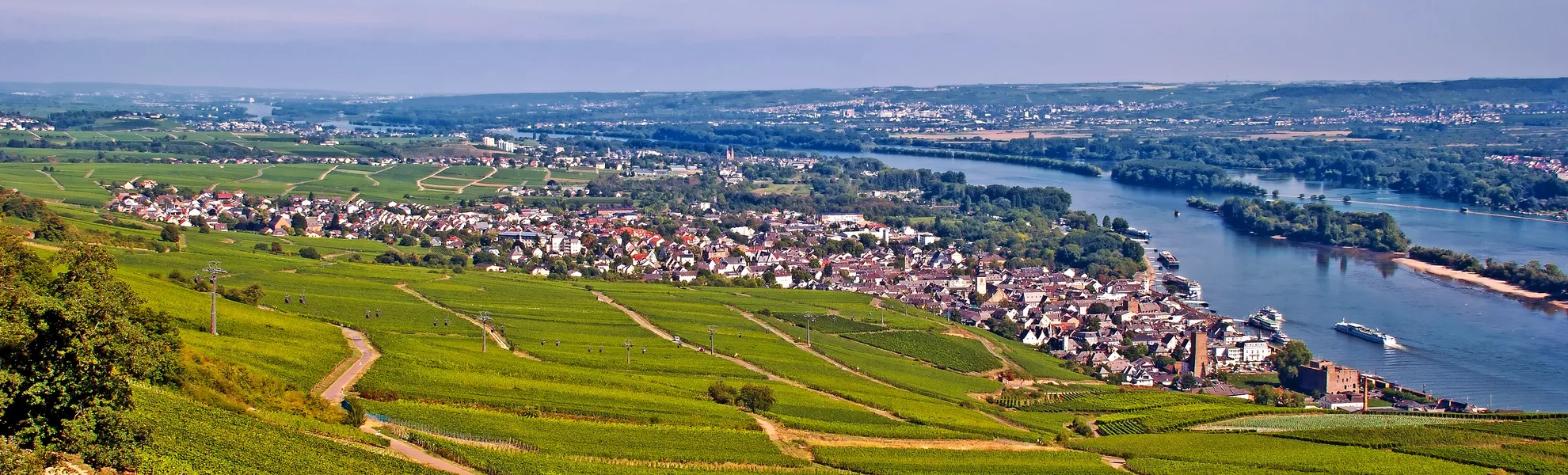 Rüdesheim am Rhein mit Weinbergen - © mojolo - Fotolia