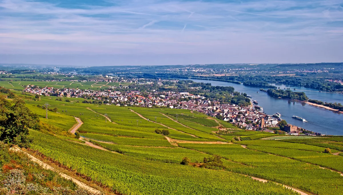Rüdesheim am Rhein mit Weinbergen - © mojolo - Fotolia