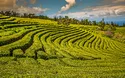 © Lukasz Janyst - stock.adobe.com