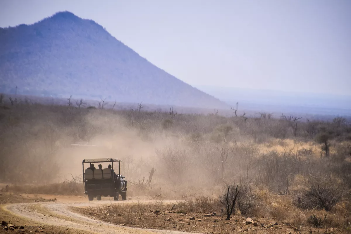 Safari im Madikwe-Wildreservat - © Eva Bazalka