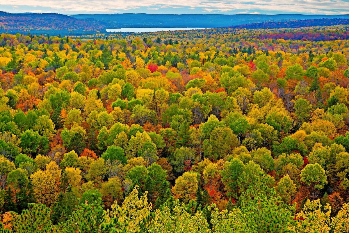 Algonquin Provincial Park in der kanadischen Provinz Ontario - © SHS Photography - stock.adobe.com