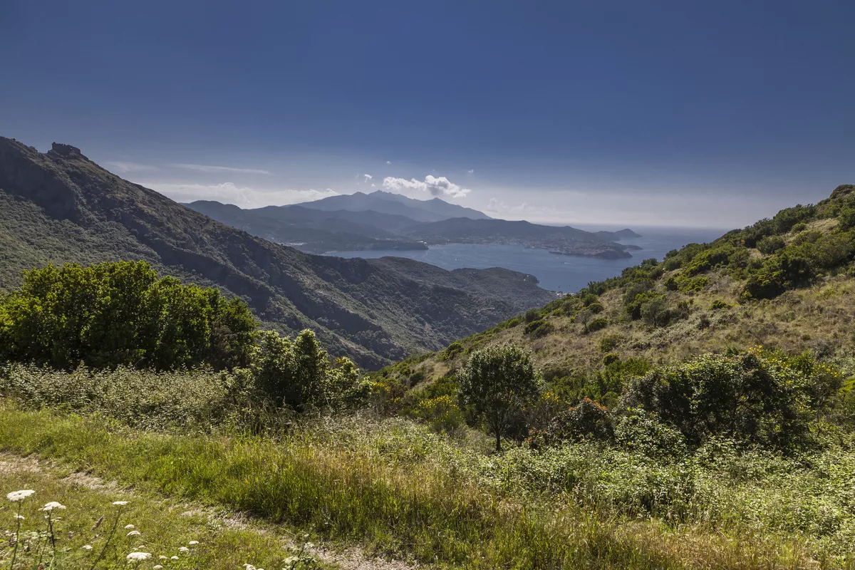 Berglandschaft in der Nähe von Rio nell?Elba, Italien - ©Child of nature - stock.adobe.com