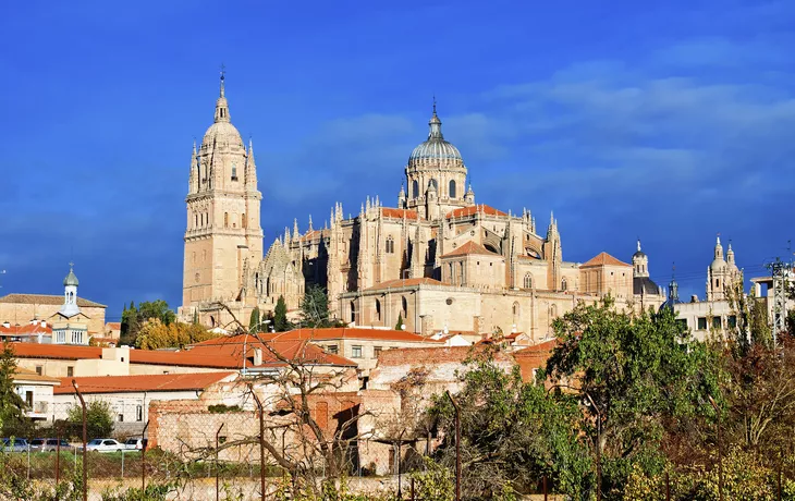 Kathedrale, Salamanca - © shutterstock_288103433