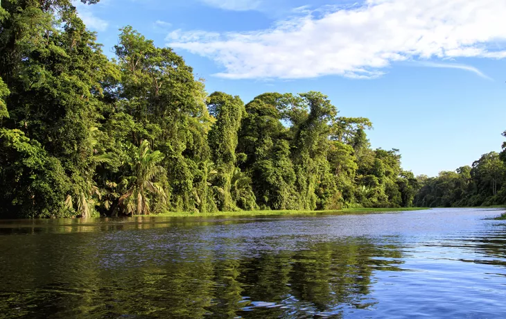 Tortuguero National Park - © henk bogaard - stock.adobe.com