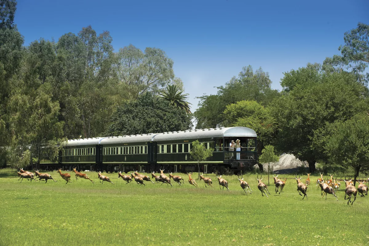 Safari auf Schienen - © Rovos Rail Tours