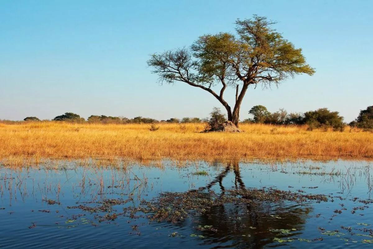 Kwando River - © EcoView - Fotolia