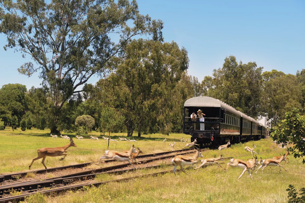 Safari auf Schienen - © Rovos Rail Tours