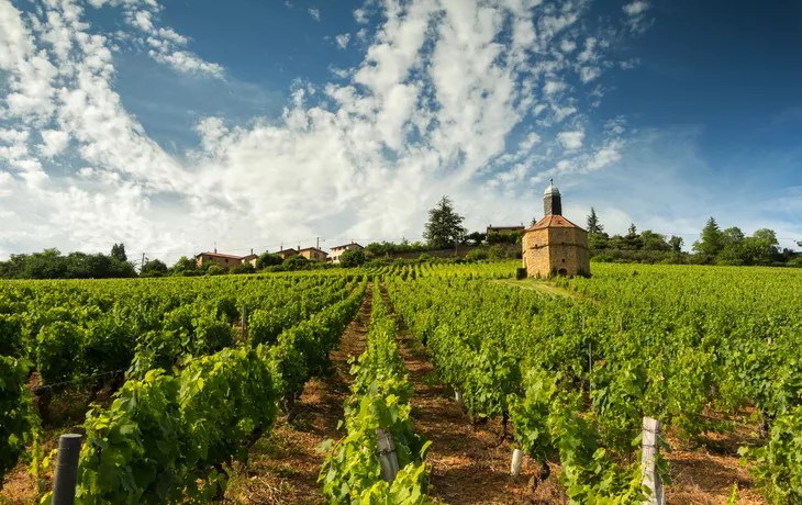 Weinbaugebiet Beaujolais  - © jorick - stock.adobe.com