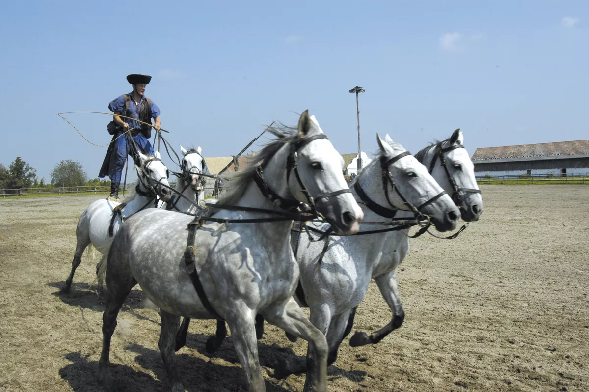 Reitvorführung in der Puszta - © Tim Lilling www.timlilling.de