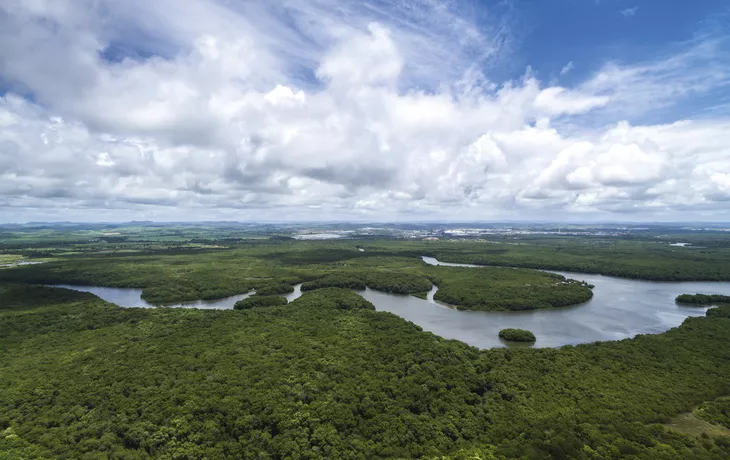 Amazonas-Regenwald - © gustavofrazao - Fotolia