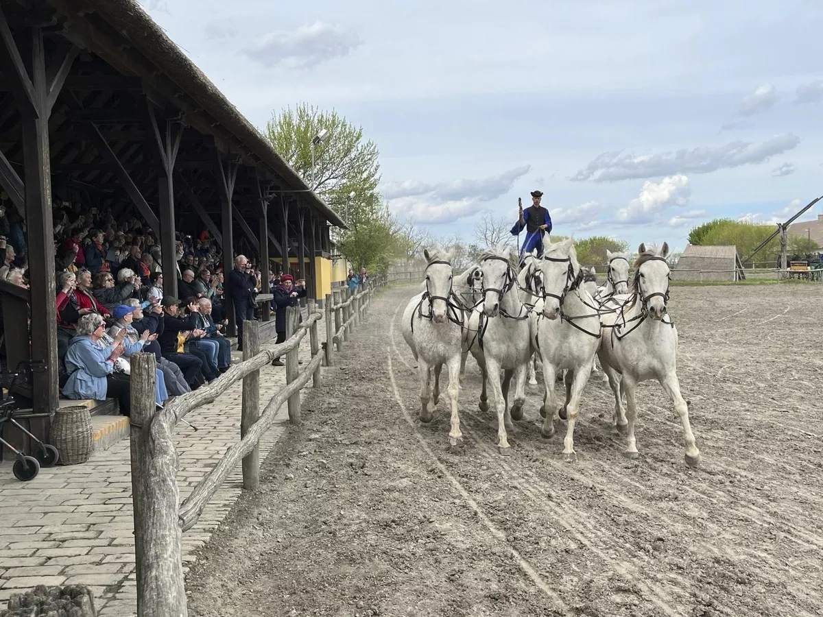 Pferdeshow in der Puszta