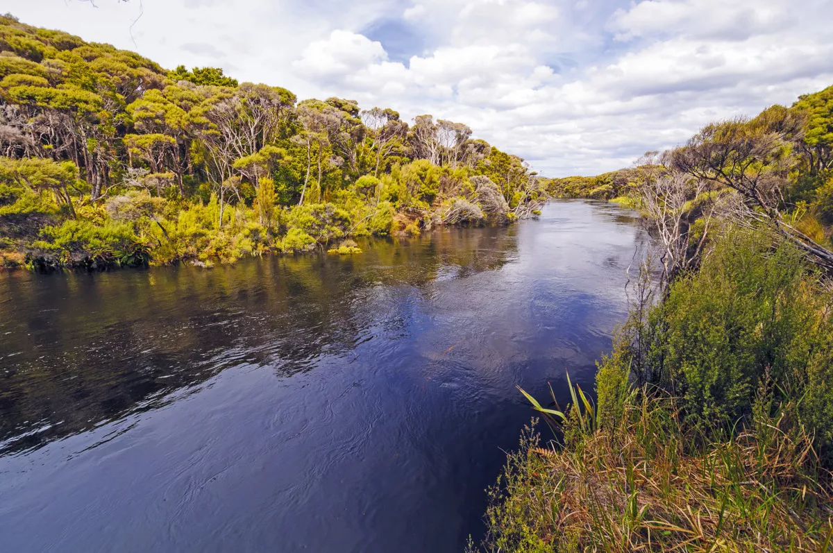 Stewart Island - © wildnerdpix - Fotolia