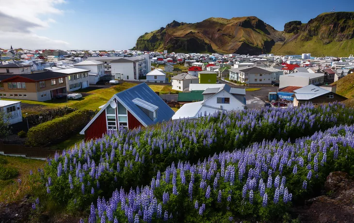 Insel Heimaey gehört zu Vestmannaeyjar, einer Inselgruppe südlich Islands - ©frankenfotograf - stock.adobe.com