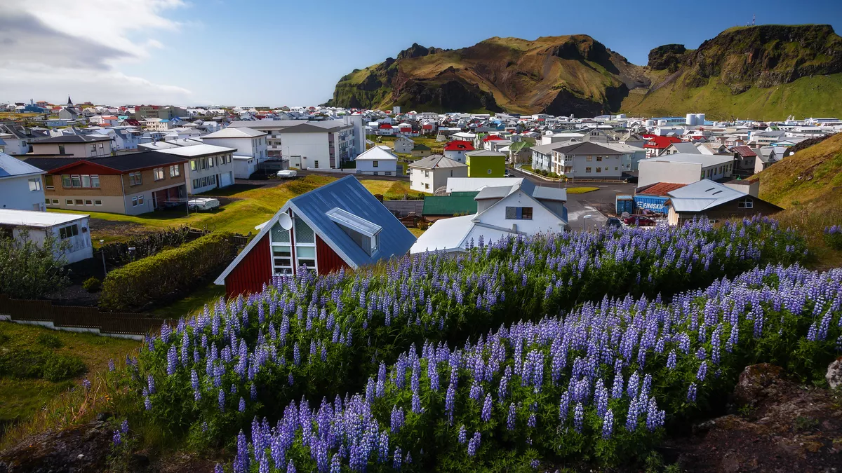 Insel Heimaey gehört zu Vestmannaeyjar, einer Inselgruppe südlich Islands - ©frankenfotograf - stock.adobe.com