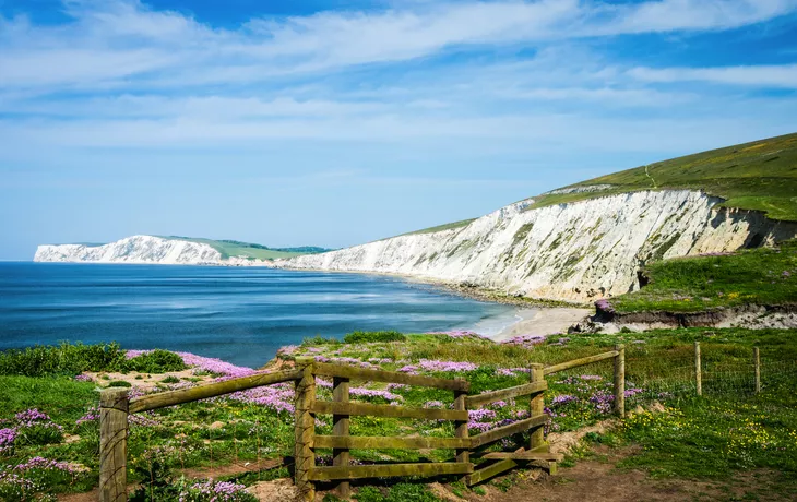 Blick auf die Küste nahe Compton auf der Isle of Wight - © chris - stock.adobe.com