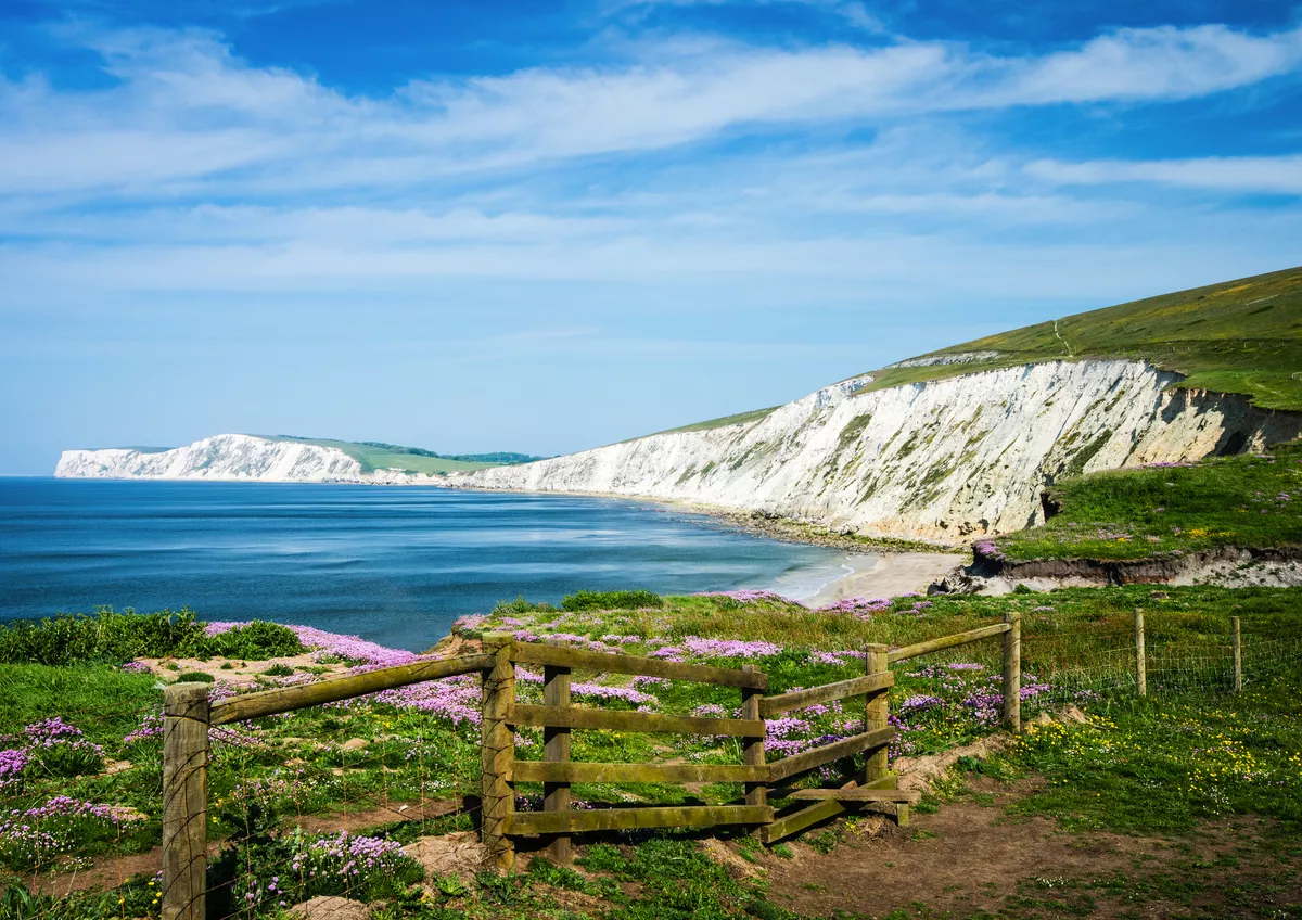 Blick auf die Küste nahe Compton auf der Isle of Wight - © chris - stock.adobe.com