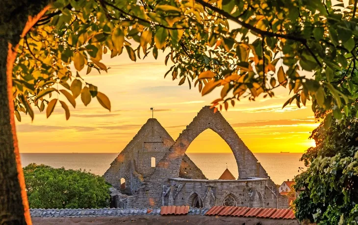 Visby auf Gotland, Schweden - © korkeakoski - stock.adobe.com