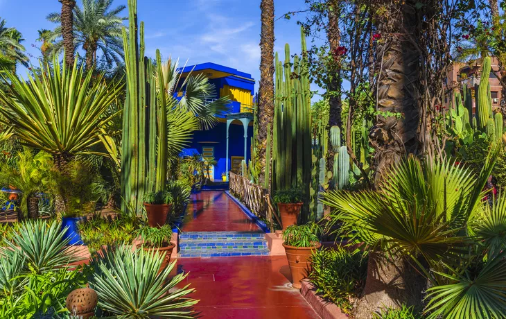 Jardin Majorelle - botanischer Garten in Marrakech - ©Balate Dorin - stock.adobe.com