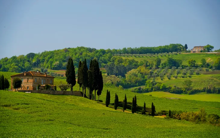 Panorama der Hügel von Lajatico - © anghifoto - stock.adobe.com