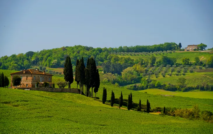 Panorama der Hügel von Lajatico - © anghifoto - stock.adobe.com