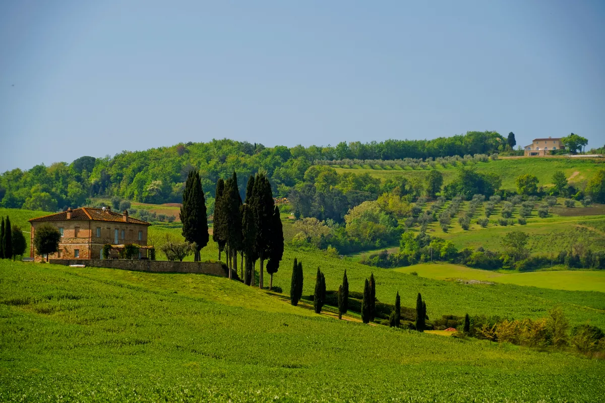 Panorama der Hügel von Lajatico - © anghifoto - stock.adobe.com