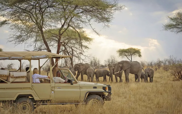 Auf Safari - © Nomad Tansania